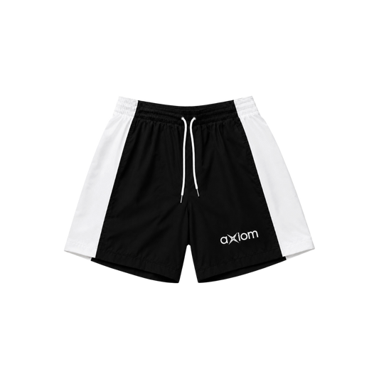AXM V3